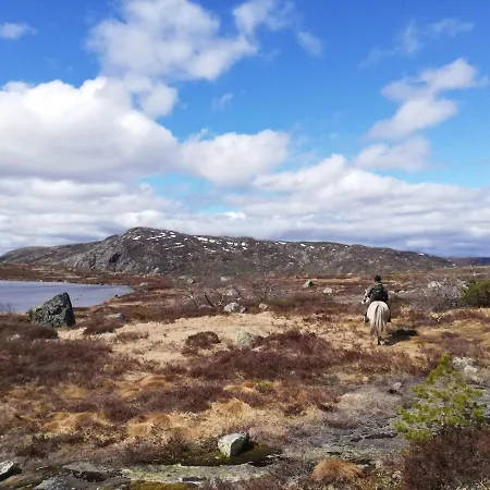 Eikerapen Gjestegard Aseral