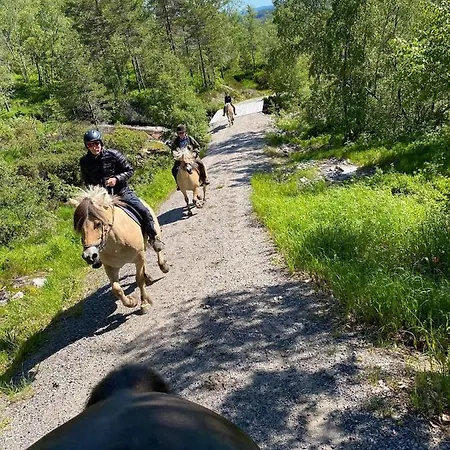 Eikerapen Gjestegard Aseral Fossdal