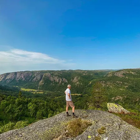 Eikerapen Gjestegard Aseral 2* Fossdal