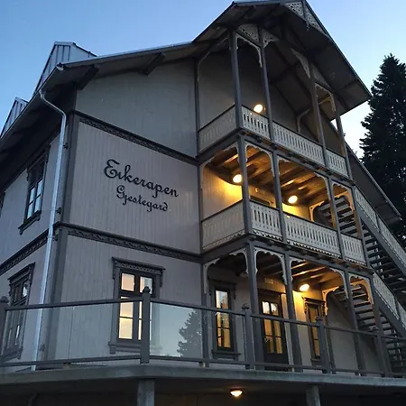 Eikerapen Gjestegard Aseral 2*