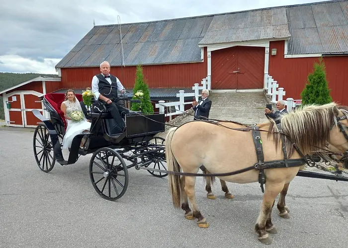 Eikerapen Gjestegard Aseral Hotel 2*