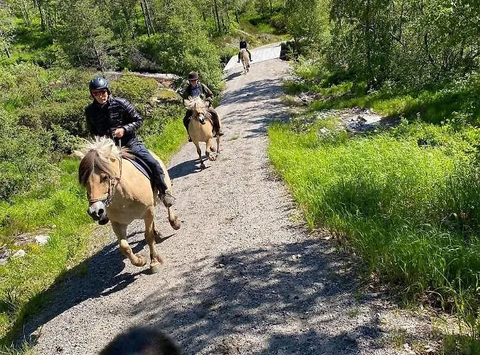Eikerapen Gjestegard Aseral Fossdal